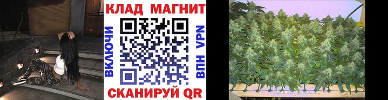 Где купить наркотики Александров АМФ omg tor Каннабис A-PVP Меф мяу мяу