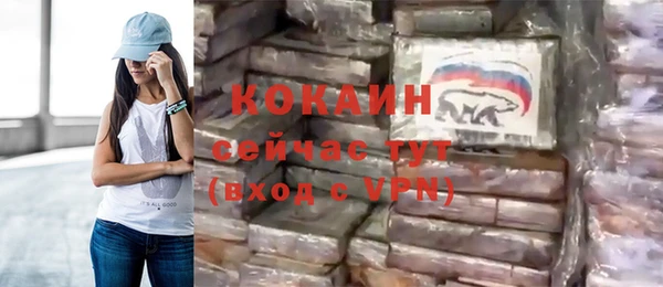 шишки Алзамай