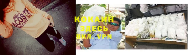 ПСИЛОЦИБИНОВЫЕ ГРИБЫ Аркадак