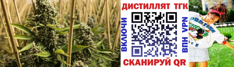 нарко площадка какой сайт  Александров  ТГК Wax 